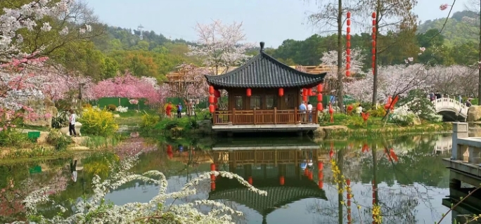 shanhai