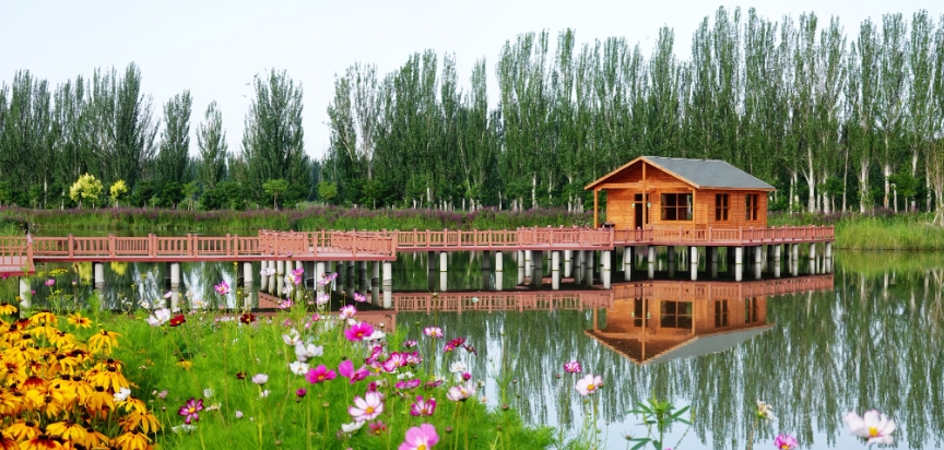 shanhai